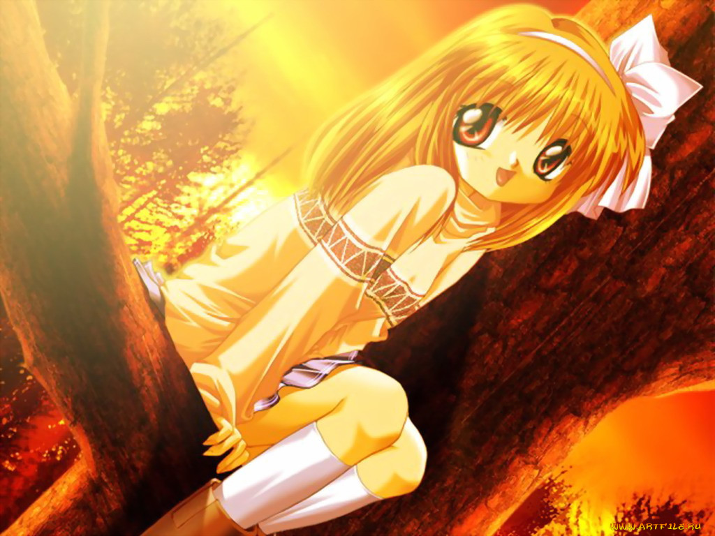 , kanon